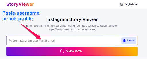 Instagram Story Viewer - StoryViewer.Io